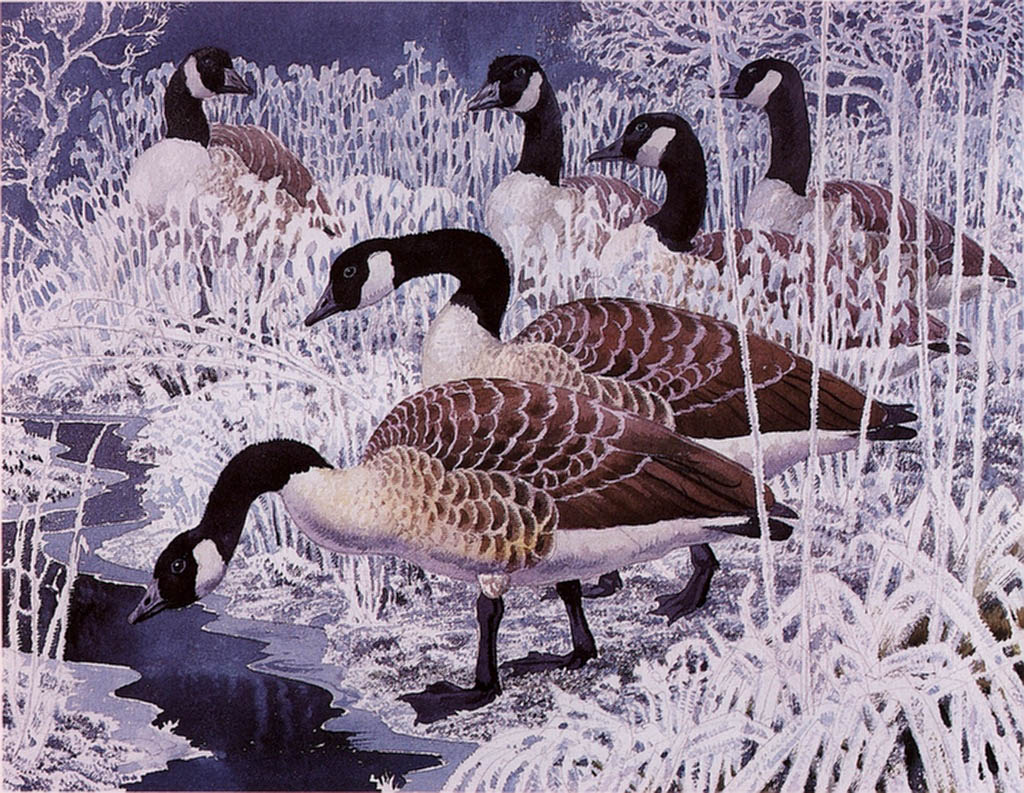 http://uploads4.wikiart.org/images/charles-tunnicliffe/geese-and-hoar-frost(1).jpg