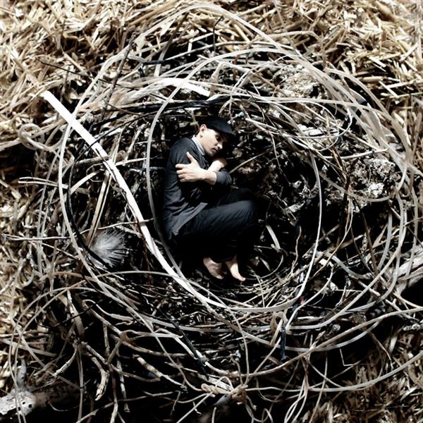 Into the Nest, 2014 - Achraf Baznani