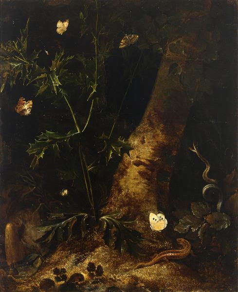 A Forest Floor Still Life with a Salamander, Snake and Various Butterflies Around a Thistle - Otto Marseus van Schrieck