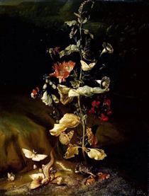 Still Life with Flowers - Otto Marseus van Schrieck