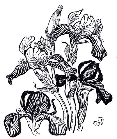 Irises - Stanisław Wyspiański