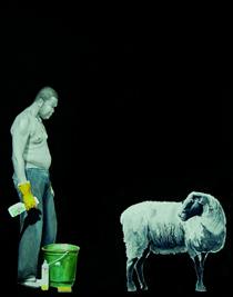 The sheep and me - Sidney Amaral