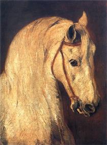 Studium of Horse Head - Piotr Michałowski