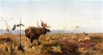 Bull Moose - Richard Friese