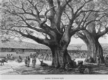 Huge Trees over People in the Famienkro 'village Square' in the N'zi-comoé Region of Southeastern Côte D'ivoire - Édouard Riou