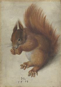 Squirrel - Ганс Гофман