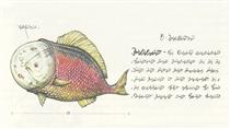 Fish from "Codex Seraphinianus" - 路易吉·塞拉菲尼