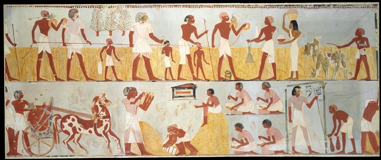 Harvest Scenes, c.1422 - c.1411 公元前 - 古埃及