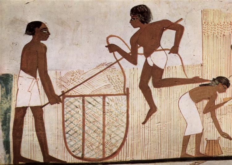 Ernte, Detail, c.1400 - c.1390 公元前 - 古埃及