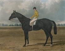 Launcelot, Winner of the Great St Leger Stakes at Doncaster - John Frederick Herring Sr.