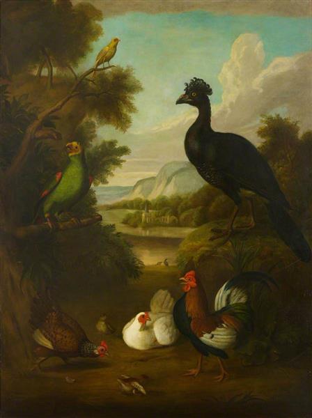 Canary, Green Parrot and Other Birds in a Landscape - Tobias Stranover