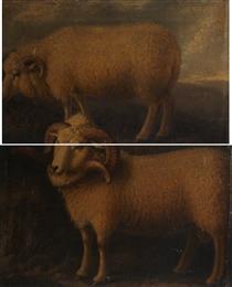 Exmoor Ram and Ewe (diptych) - William Shiels