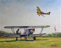 Aircraft In Flight - David Young