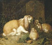 Lop Eared Rabbits - John Frederick Herring Sr.