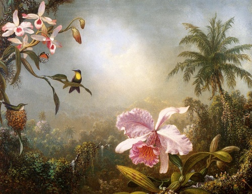 Orchids Nesting Hummingbirds And A Butterfly - Martin Johnson Heade