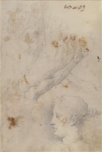 Studies of an Arm, and of the Heads of an Old Man and Young Woman - Palma il Giovane
