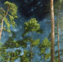 Night in the forest - Goran Vojinovic