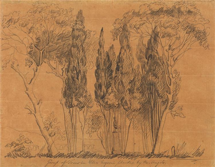 Trees in the Villa Negroni Planted by M. Angelo - John Flaxman