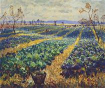 Cabbage Field - Konstantin Ivanovich Gorbatov
