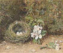 Bird's nest with sprays of apple blossoms - William Henry Hunt