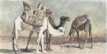 Camels at Damascus - Карл Хаг