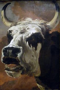 Head of beef - Jan Asselijn