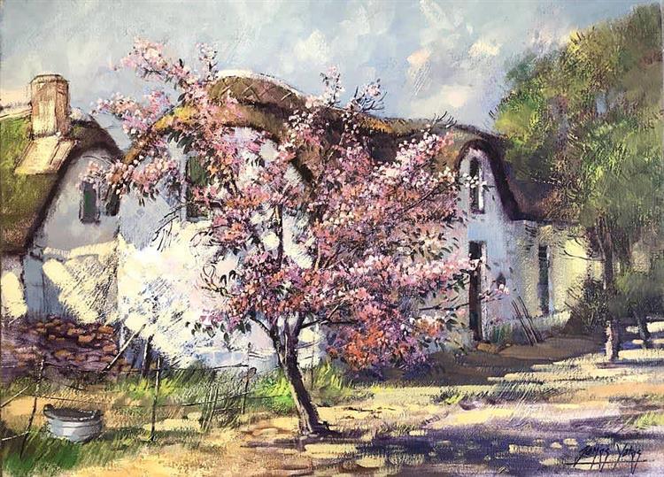 Blossoms, Clanwilliam - James Yates