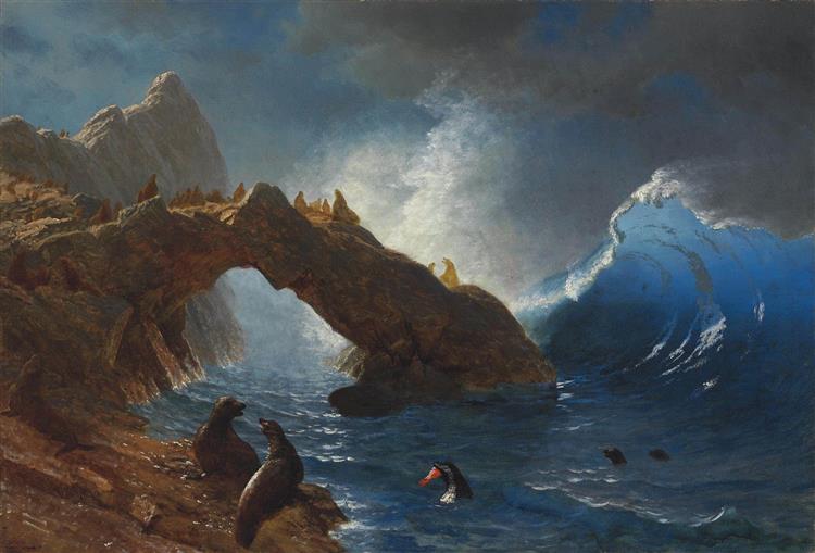 Seals on the Rocks, 1873 - 阿爾伯特·比爾施塔特