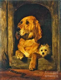 Dignity and Impudence - Edwin Landseer