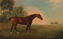A Bay Horse in a Field - John Boultbee
