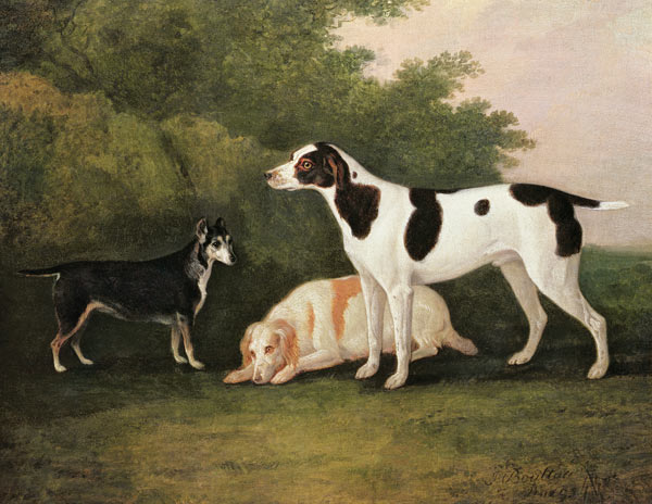 Three Dogs in a Landscape - John Boultbee