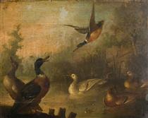 Mallards and a White Duck in a Pond - Marmaduke Cradock