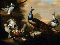 Peacocks and Poultry - Marmaduke Cradock