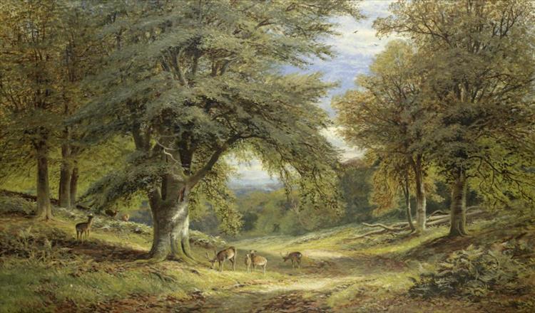 Deer on a shaded woodland path - Alfred Augustus Glendening, Sr.