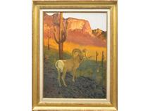 Desert Bighorn Sheep - Douglas Allen