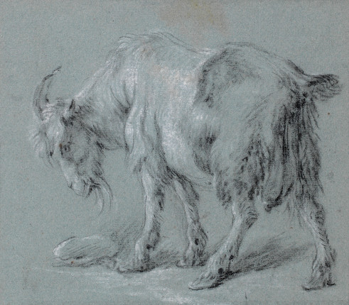 Study of a goat - Karel Dujardin