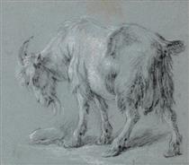 Study of a goat - Karel Dujardin