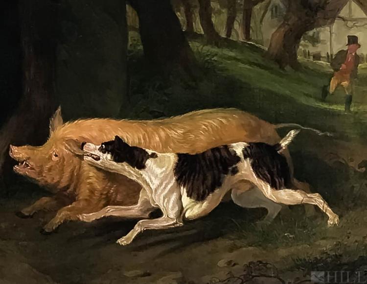 English Dog with Wild Boar Hunt Scene - Martin Theodore Ward