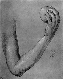 Arm of Eve - Albrecht Durer