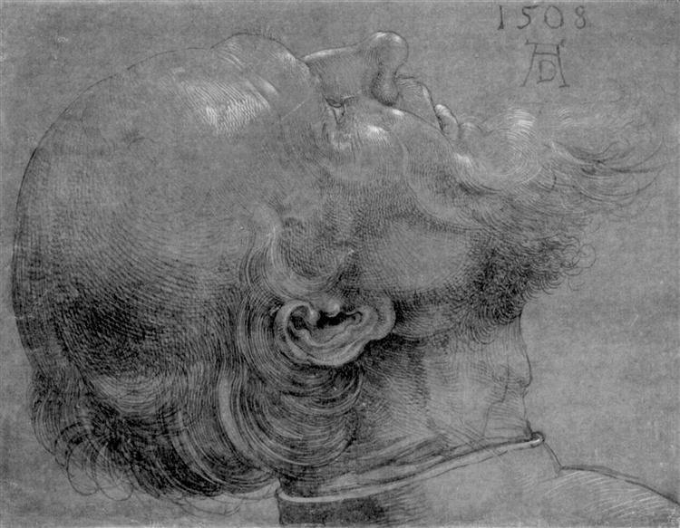 Head of an apostle, 1508 - Альбрехт Дюрер