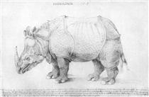 Rhinoceros - Альбрехт Дюрер