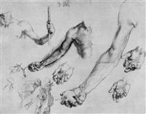 Study of male hands and arms - Albrecht Dürer
