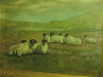 Sheep in Field - Александр Поуп