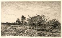 Apple Trees at Auvers - Шарль-Франсуа Добиньї