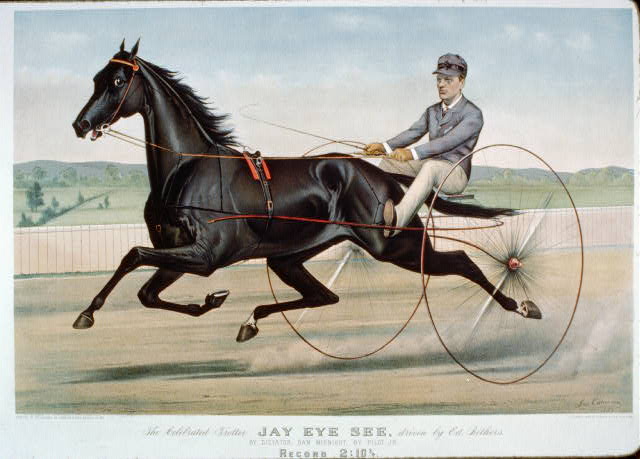 Celebrated trotter Jay Eye See, 1884 - Куррье и Айвз