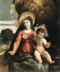 Maria e o Menino Jesus - Dosso Dossi