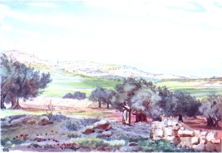 Bethlehem from the Sheepfold, Field of Boaz - Элизабет Томпсон