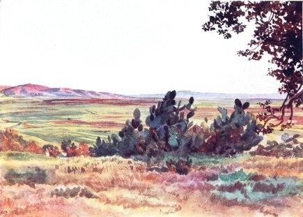 The Plain of Esdraelon, from foot of Tabor, with the village of Naim in distance - Elizabeth Thompson