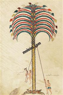 The metaphor of the palm tree - Ende