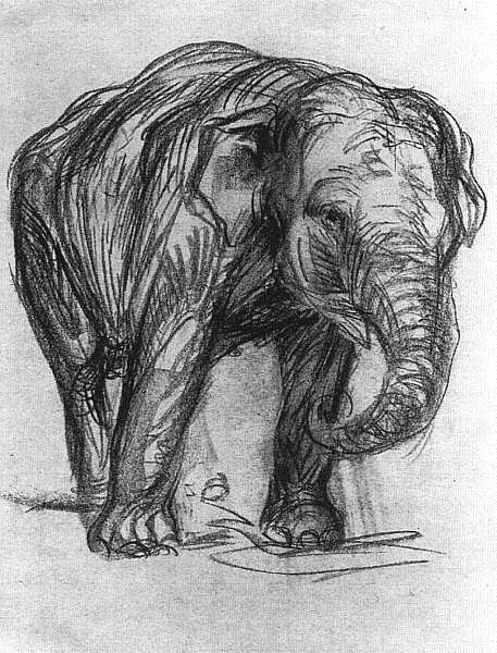 Elephant, 1907 - Франц Марк
